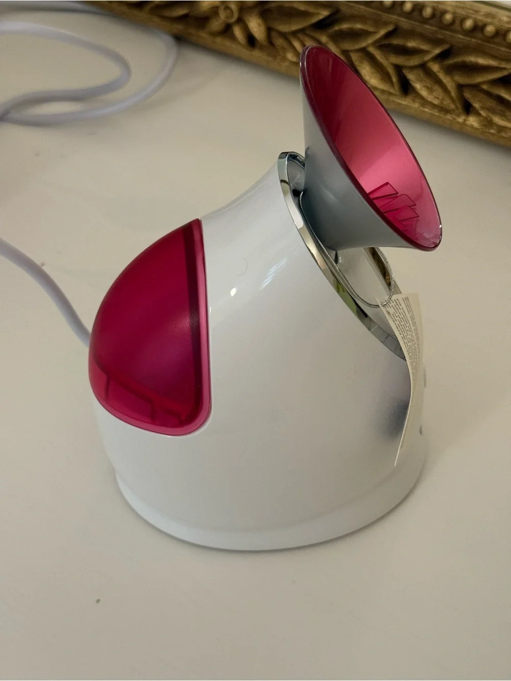 EZBASICS Ionic Facial Steamer